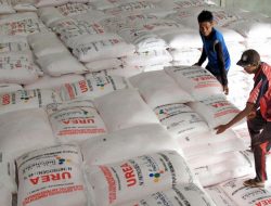 Stok Pupuk Dipastikan Aman untuk Musim Tanam 2022