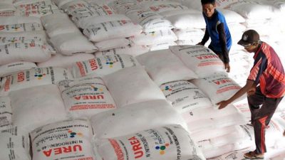 Stok Pupuk Dipastikan Aman untuk Musim Tanam 2022