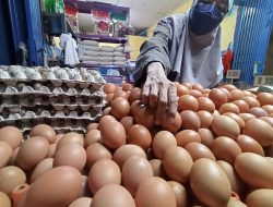 Konsumsi Telur Takut Berdampak ke Kolesterol? Begini Penjelasan Pakar