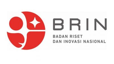 BRIN