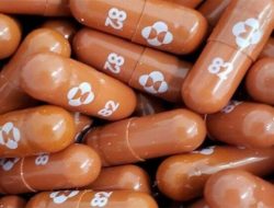 Menkes Klaim Indonesia Bakal Produksi Molnupiravir di Pertengahan 2022