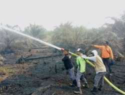 Tuju Hektar Lahan Kebun Kelapa Sawit Terbakar di Nagan Raya