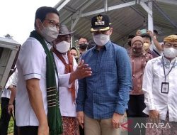 Tentukan RAPD, Kemendes Dorong Pemda Mutakhirkan Data SDGs Desa