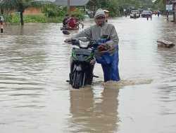 Sebanyak 18 Desa di Aceh Barat Terendam Banjir, Ketinggian Mencapai 110 Centimeter
