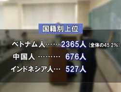 Wah Ternyata WNI 527 Orang, Terbanyak Ketiga di Antara Pekerja Asing di Miyazaki Jepang