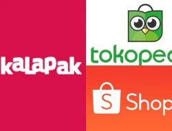E-Commerce Masih Menjadi Pilihan Belanja, Khususnya Jenis Produk Rumah Tangga dan Elektronik