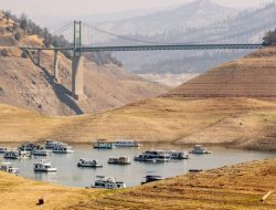 California Alami Kekeringan Sejak 1984