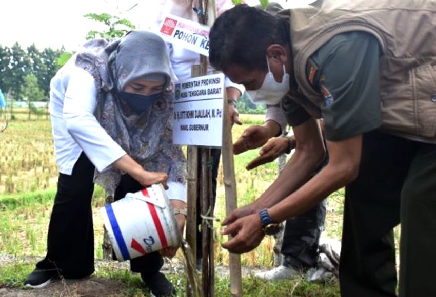 Bersama Perhimpunan Tionghoa, Pemprov NTB Lakukan Penghijauan Jalan Bypass BIL
