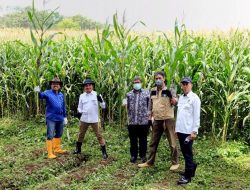 LPDB Dorong Pengembangan Ekosistem Sapi Perah Unpad Jadi Percontohan