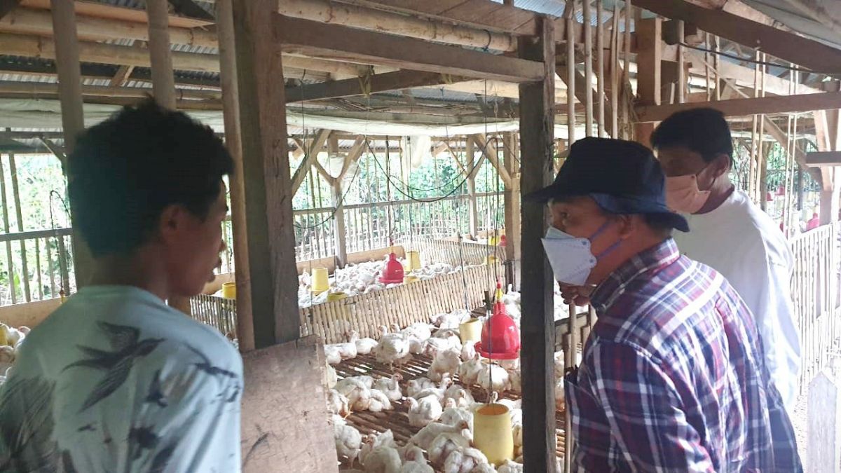 LPDB Dukung Program Ketahanan Pangan di NTT