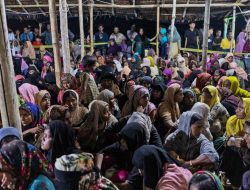 Komnas HAM Minta Pemda Tetap Berikan Hak Dasar ke Ratusan Pengungsi Rohingya