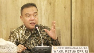 Sufmi Dasco Setuju Tunda DOB Sampai Putusan MK