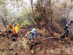BMKG Imbau Warga Aceh Tak Bakar Lahan saat Musim Kemarau