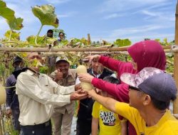 Kabar Baik! Petani di Kalimantan Timur Makin Sejahtera