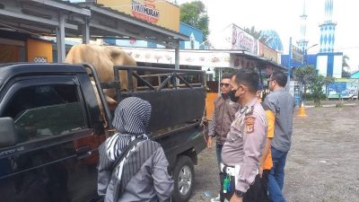 Covid dan PMK Masih Menghantui, Depok Keluarkan SE soal Kegiatan Berkurban