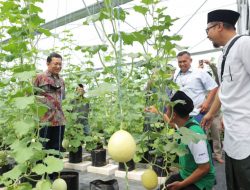 Inkubasi Koperasi Gerakan Ekonomi Pondok Pesantren