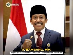 Cegah Penyakit Mulut dan Kuku, Badan Karantina Kementan Perkuat Pengawasan Hewan