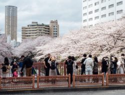 Menuju Pembukaan Penuh, Jepang akan Terima Kunjungan Wisatawan Skala Kecil