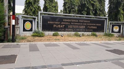 Ikuti Arahan Mentan, Pusvetma Bakal Kembangkan Produksi Vaksin PMK