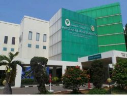 RSPI Sulianti Saroso Pastikan Hepatitis Akut Tak Berkaitan Vaksinasi dengan COVID-19