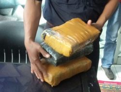 Bawa Ganja 1,8 KG, Warga Belo Bima Diciduk