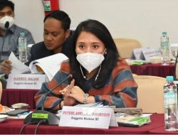 Puteri Ingatkan DJP Kemenkeu Lakukan Edukasi Masif Soal Integrasi NIK Jadi NPWP