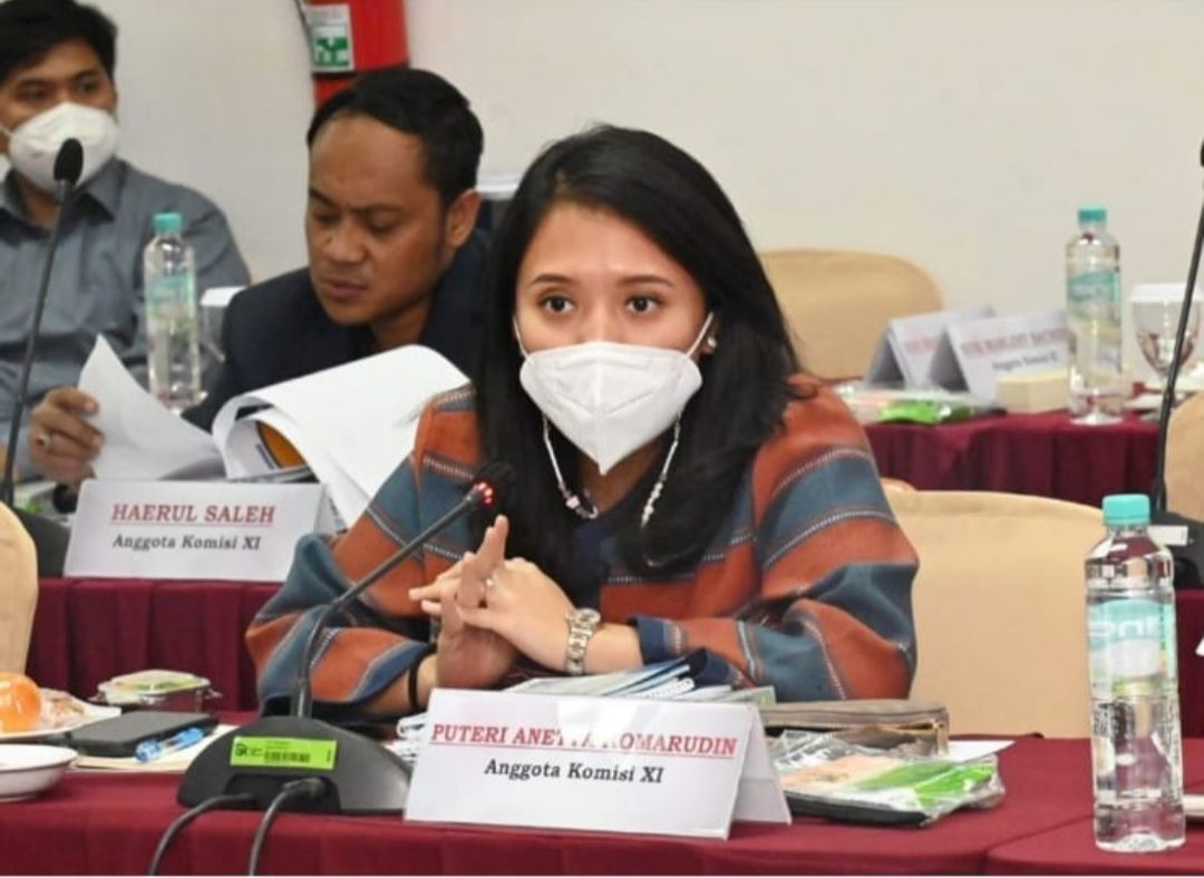 Puteri Ingatkan DJP Kemenkeu Lakukan Edukasi Masif Soal Integrasi NIK Jadi NPWP