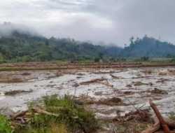 Lahan Pertanian Warga Desa Pangandaran Sulbar Rusak Diterjang Banjir