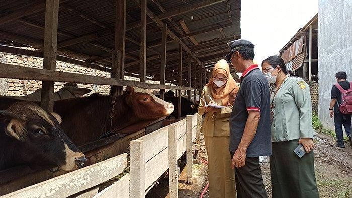 Vaksinasi PMK, Komisi IV DPR, Penanganan PMK