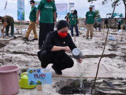 Puan Pimpin Penghijauan di Lahan Eks Tambang di Babel: Jangan Habis Manis Sepah Dibuang