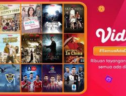 Vidio Dapat Suntikan Dana Rp662 Miliar dari Sinar Mas Group dan Grab