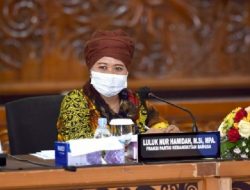 Luluk Nur Hamidah Minta Pemerintah Buat Aturan Turunan UU TPKS