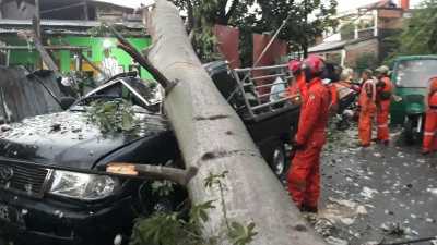Hujan Deras di Cakung Sebabkan Pohon Setinggi 15 Meter Tumbang dan Menimpa Rumah