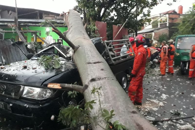 Bogor