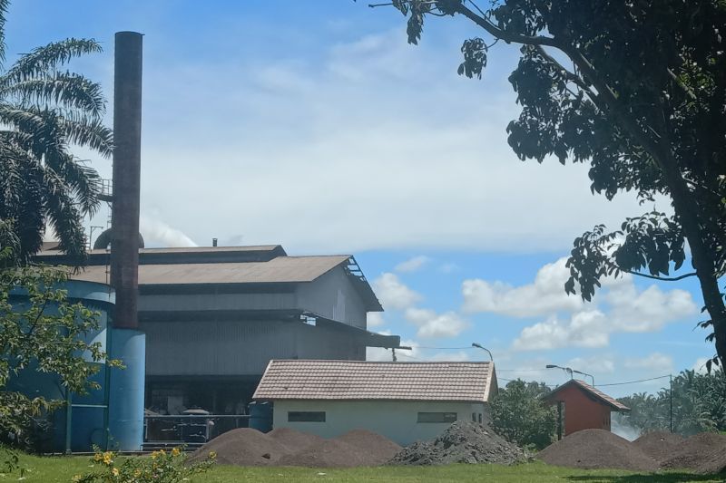 Karena Hal Ini, Pabrik Kelapa Sawit di Mukomuko Tutup