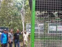 DPR Minta KLHK Lindungi Satwa Liar