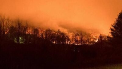 Kebakaran Hutan di Aljazair Utara Tewaskan 26 Orang