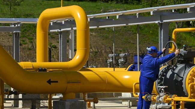 Energi Fosil, Subsidi Energi
