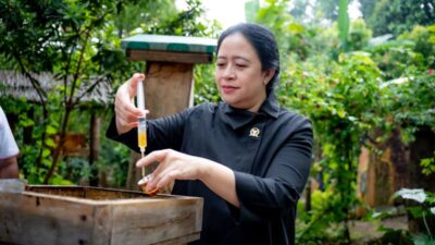 Penghijauan di Rajabasa, Puan Tanam Alpukat dan Panen Madu Lebah