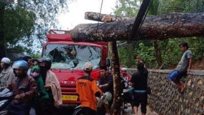 Hujan Deras Disertai Angin Tumbangkan Pohon dan Putus Jalan Penghubung di Pamekasan