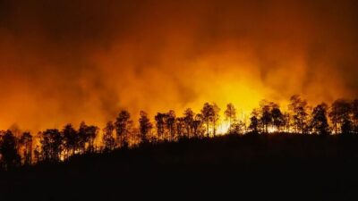 Taman Nasional Baluran, Pemadam Kebakaran, Angka Kebakaran Hutan