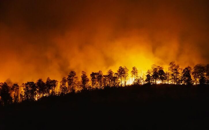 Taman Nasional Baluran, Pemadam Kebakaran, Angka Kebakaran Hutan