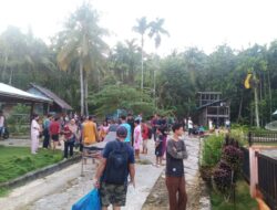 Satgas PKH Segera Usut Penebangan Liar di Mentawai