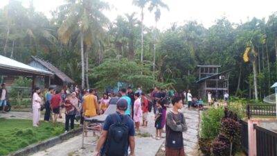 Satgas PKH Segera Usut Penebangan Liar di Mentawai