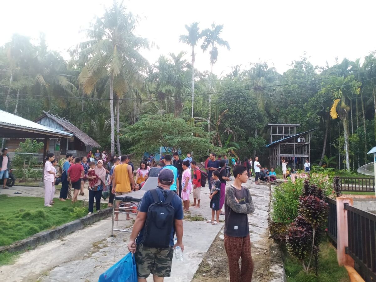 Satgas PKH Segera Usut Penebangan Liar di Mentawai
