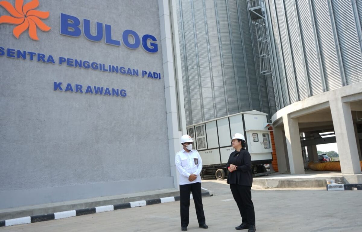 Perubahan Status Bulog Segera Dibahas untuk Dukung Swasembada Pangan