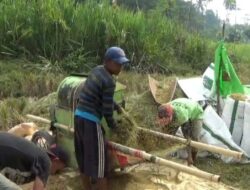 Pastikan Ketahanan Pangan, Kementan Lakukan Percepatan Tanam di Daerah Strategis