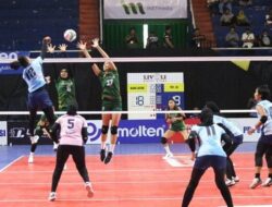 BOLA VOLI – Bank Jatim dan Petrokimia ke Final Four Livoli Divisi Utama 2022