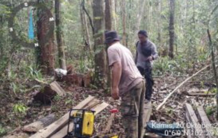 Perambahan Liar