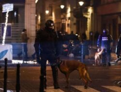 Timnya Kalah, Fans Belgia Ngamuk